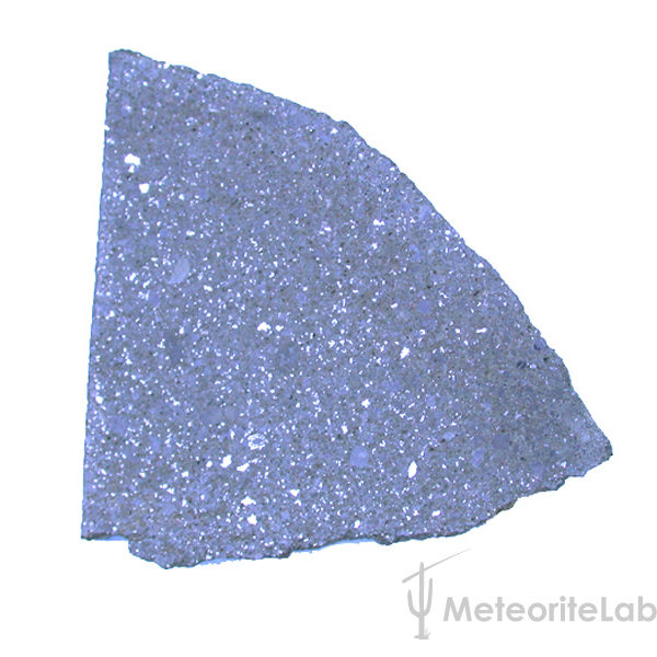 Meteorite Slice Mount Tazerzait