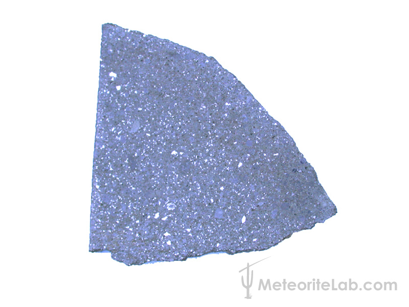 Meteorite Slice Mount Tazerzait