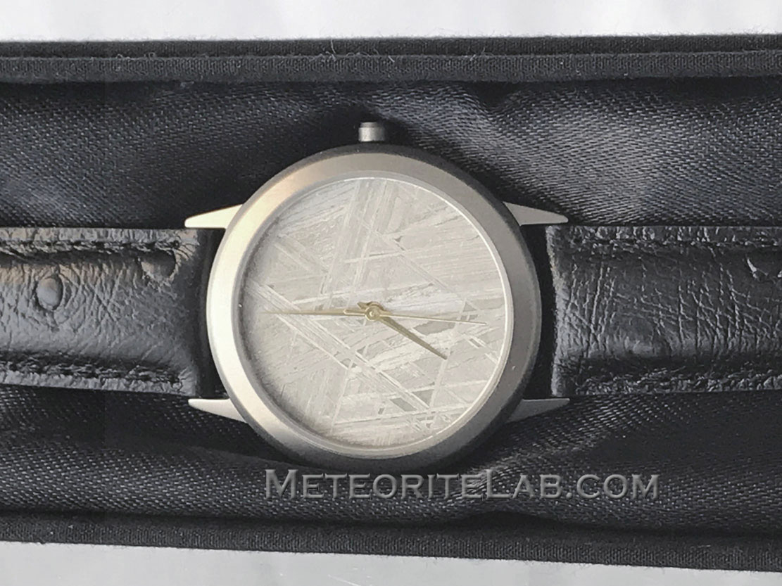 Gibeon Meteorite Watch Large