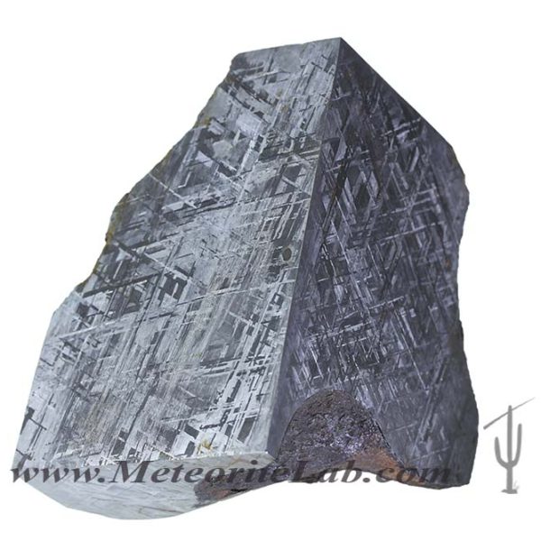 Gibeon Meteorite Corner Corner Cut 1228 g.