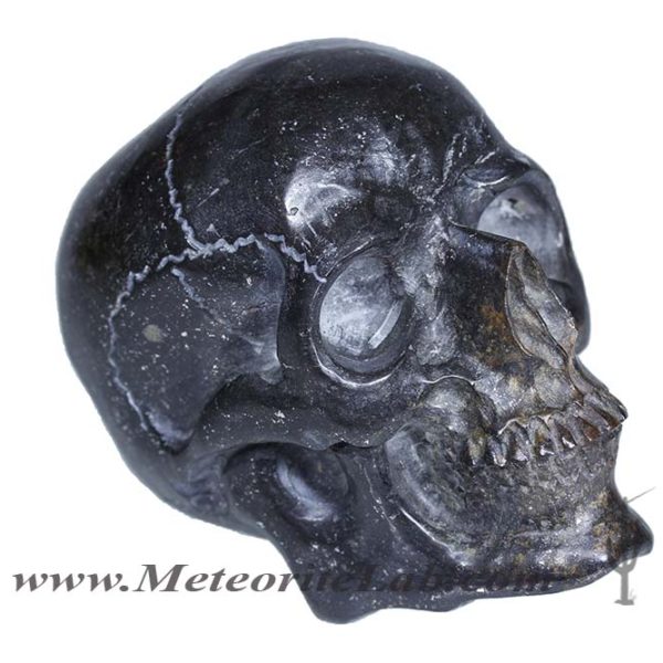 NWA Meteorite Skull Carving Right