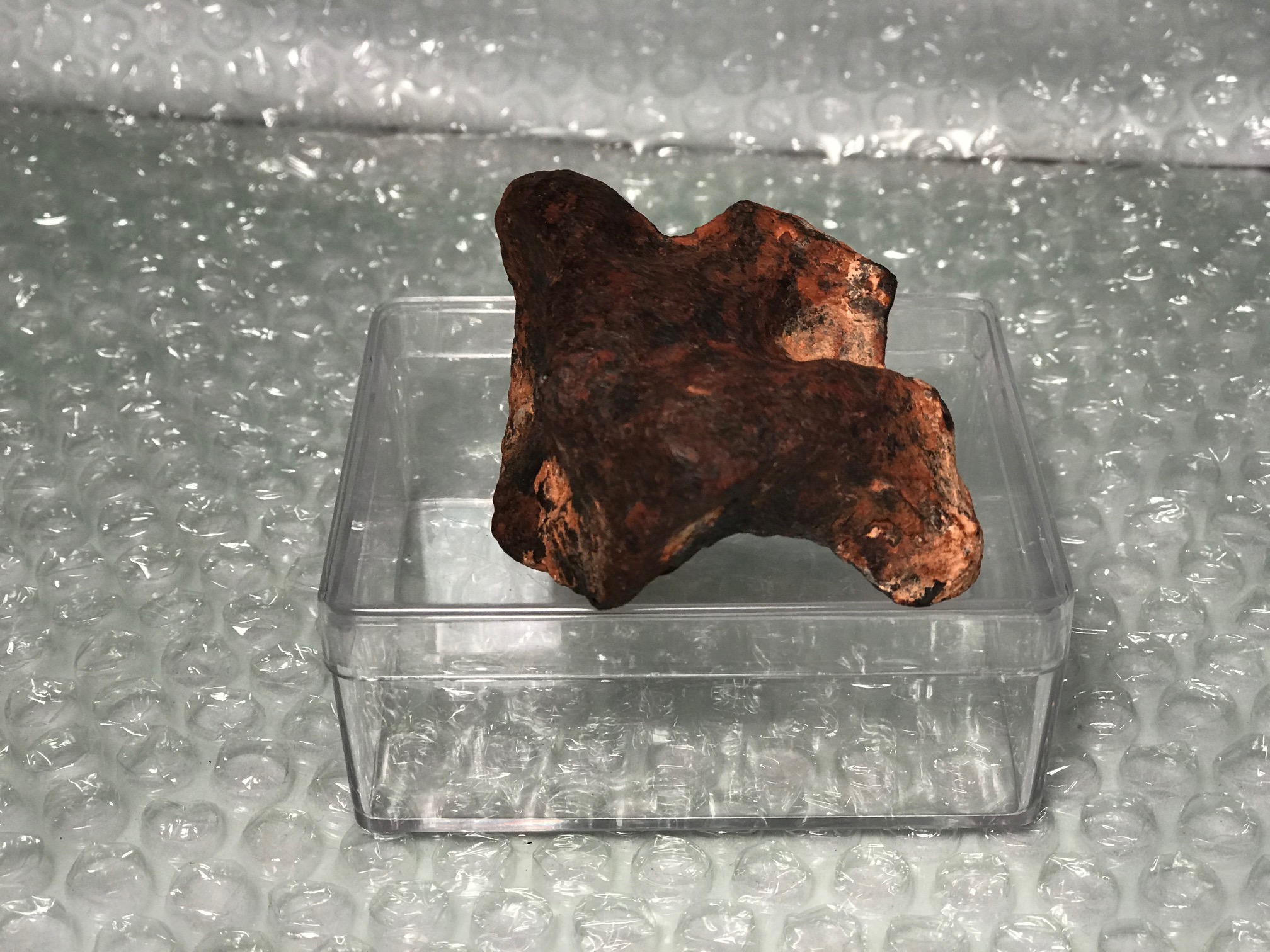 Iron Meteorite, on sale Mundrabilla, Australia