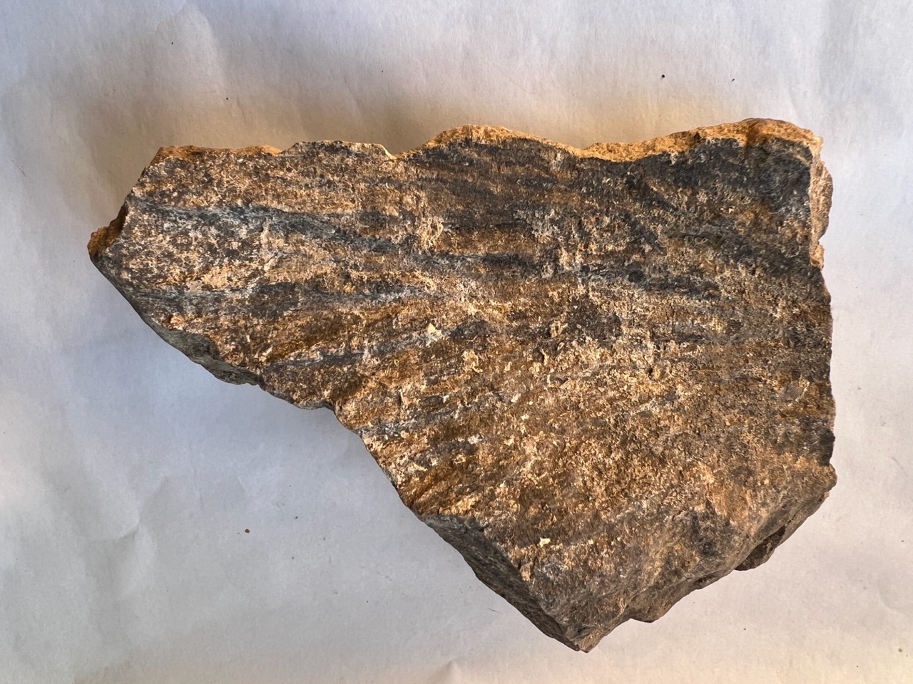 Sierra Madera Shatter Cone | Southwest Meteorite Laboratory