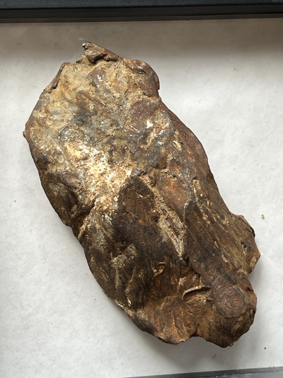 Gebel Kamil Meteorite | Southwest Meteorite Laboratory