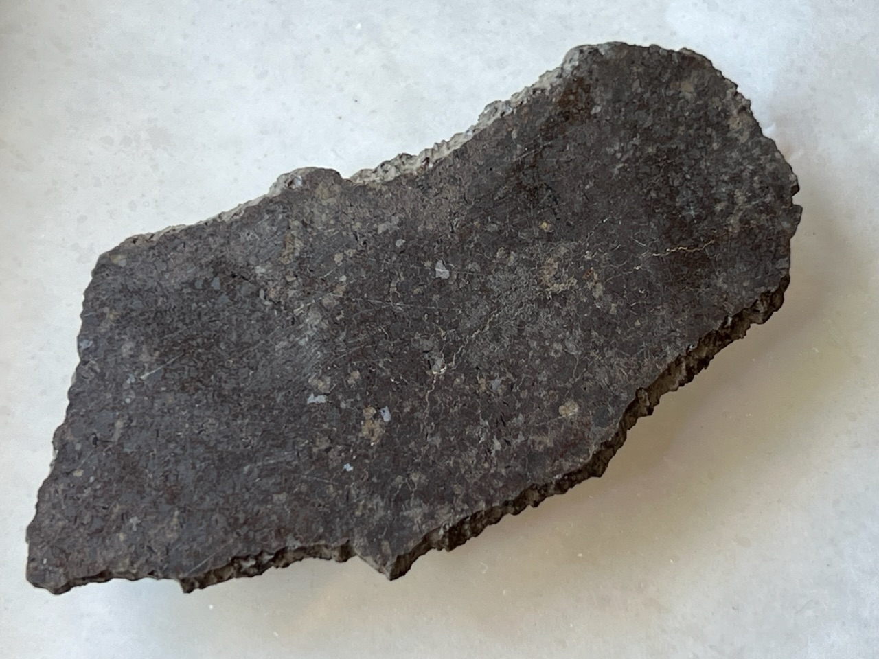 NWA 3140 Ureilite | Southwest Meteorite Laboratory