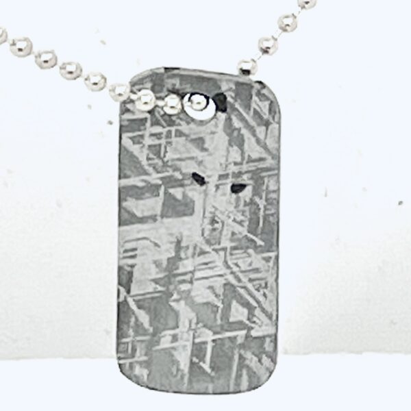 Dogtag15g