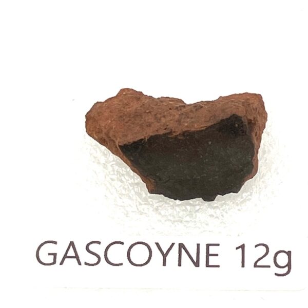 GAS12